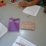 AAFC Mulher em Rio Preto promove curso de carteira em tecido