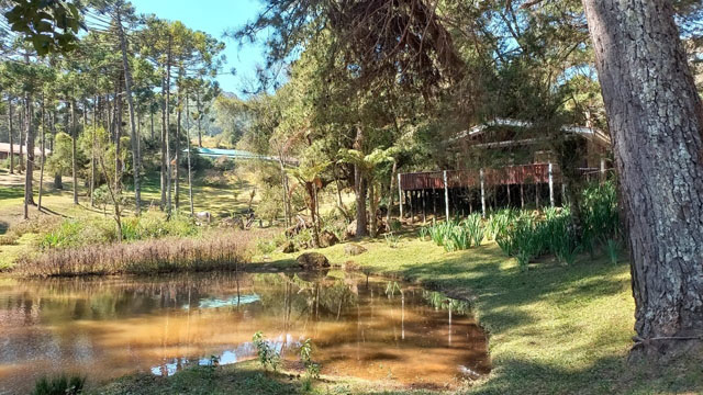 Saiba como foi a excursão para Monte Verde, organizada pela Metropolitana!